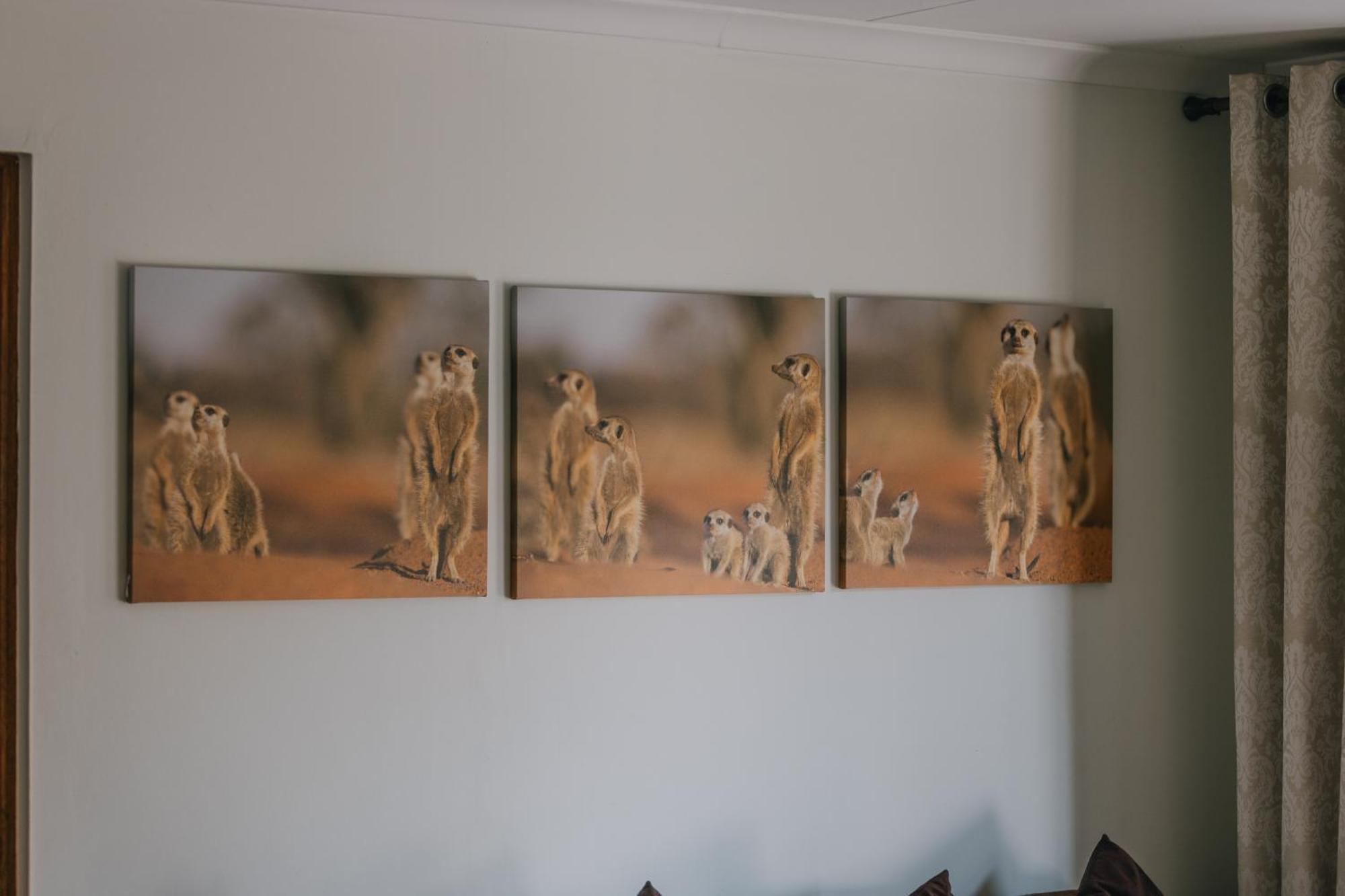 Beetleloop Guest House Mbombela Dış mekan fotoğraf